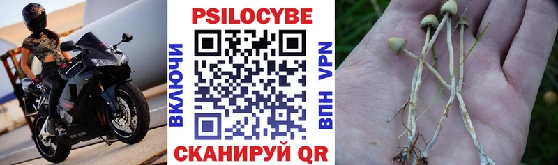 Купить  Каменка  Галлюциногенные грибы мухоморы 