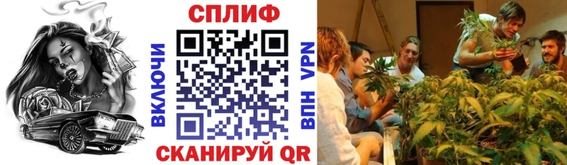 Купить  Каменка  Бошки марихуана ГИДРОПОН 